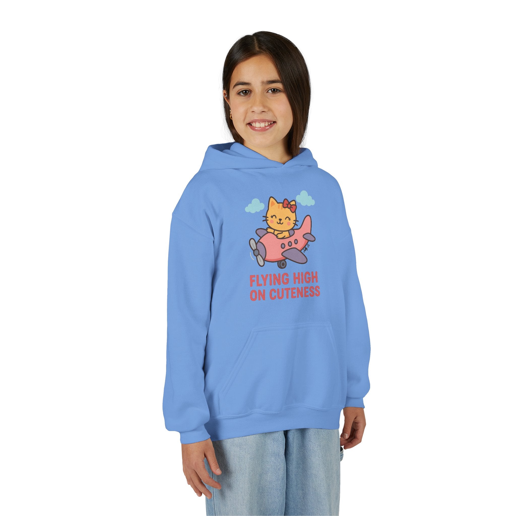Cute Cat Airplane Kids Hoodie