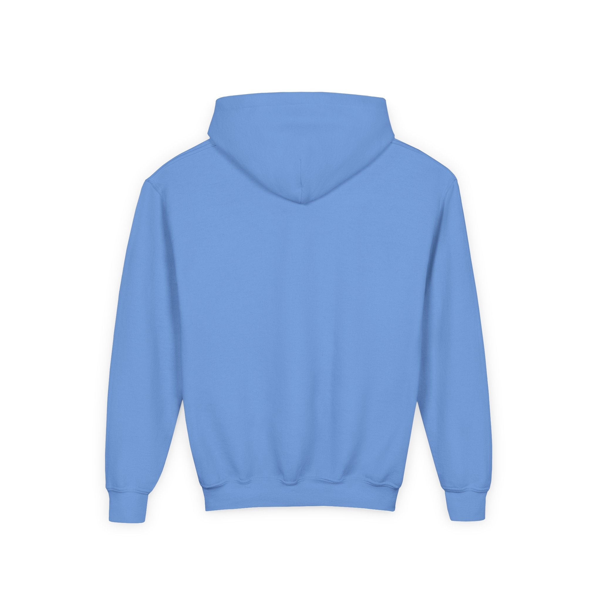 Cute Cat Airplane Kids Hoodie