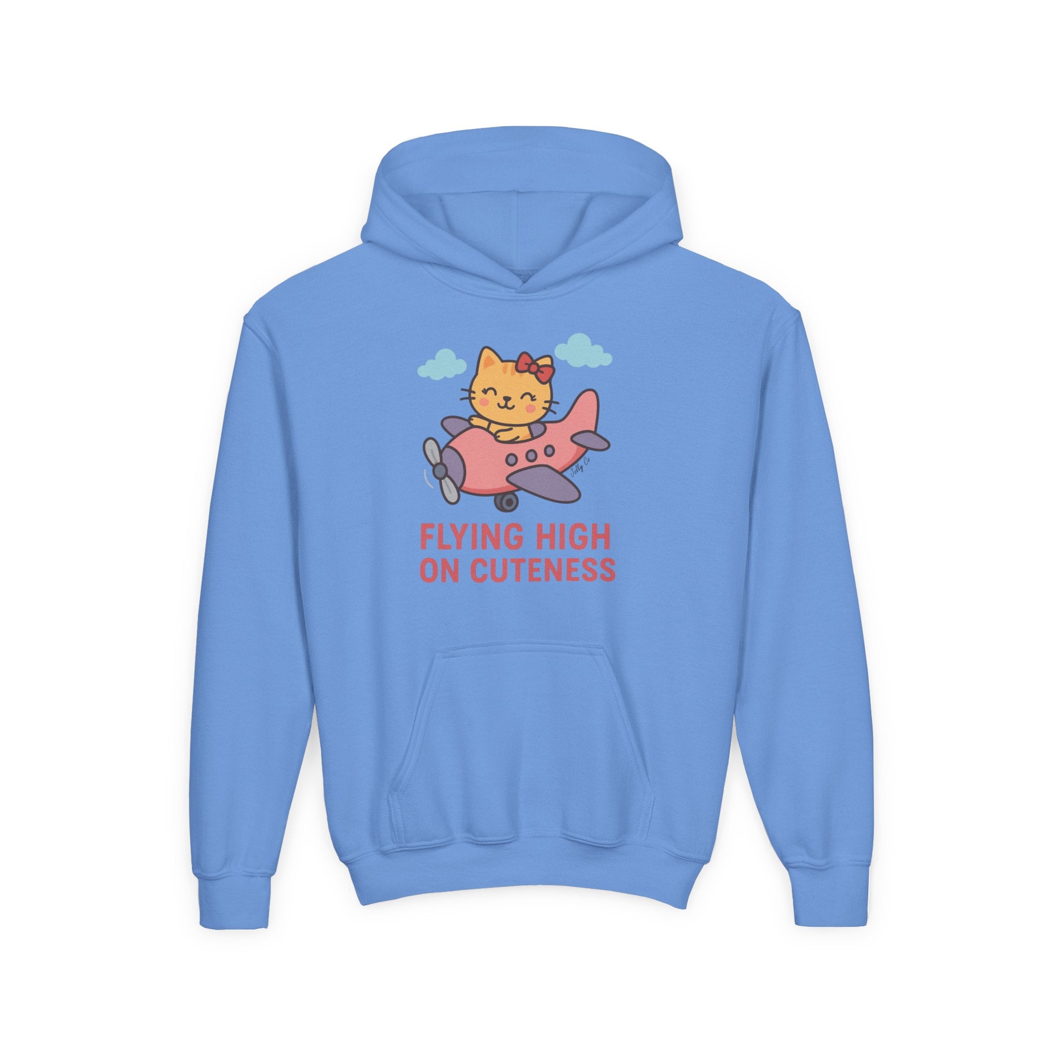 Cute Cat Airplane Kids Hoodie