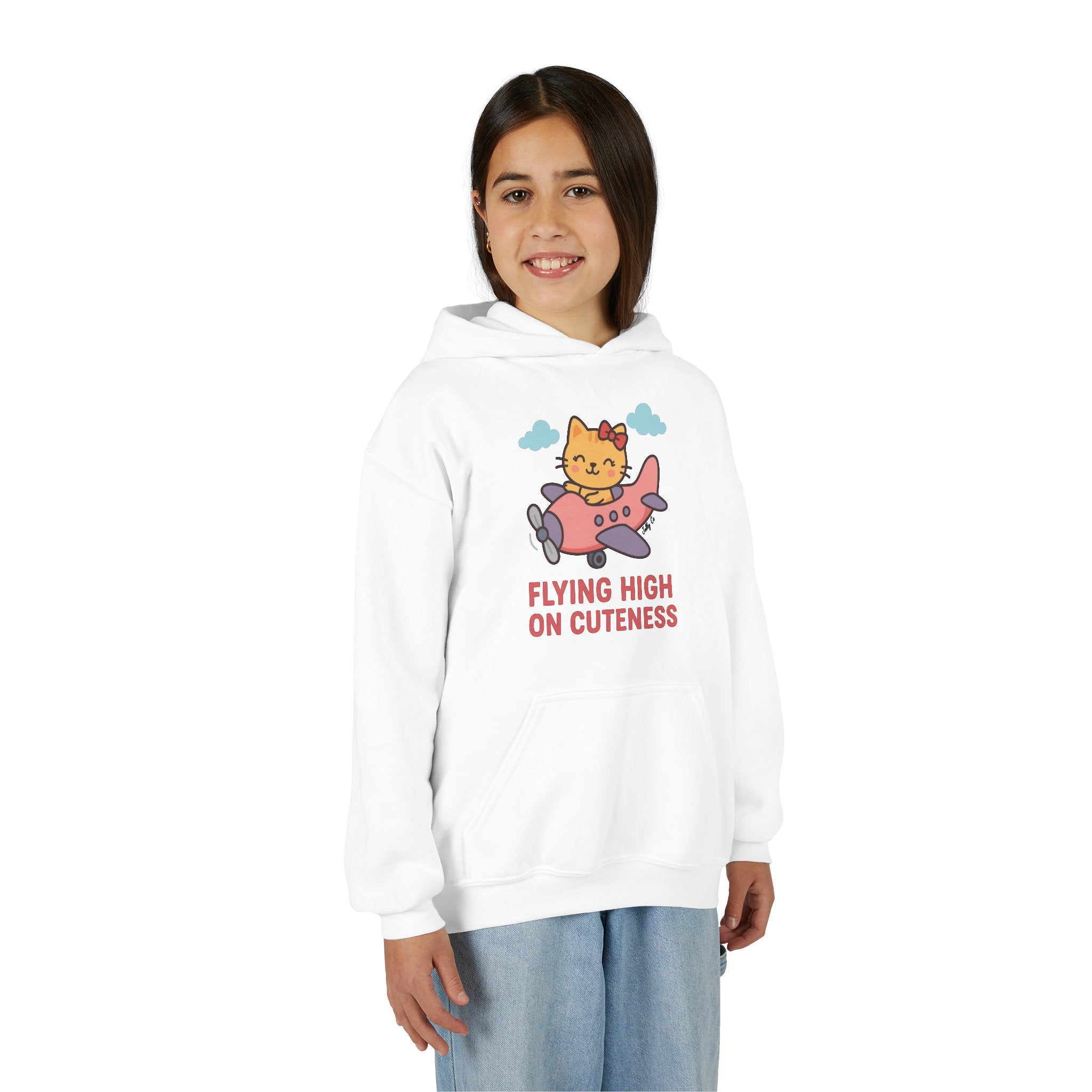 Cute Cat Airplane Kids Hoodie