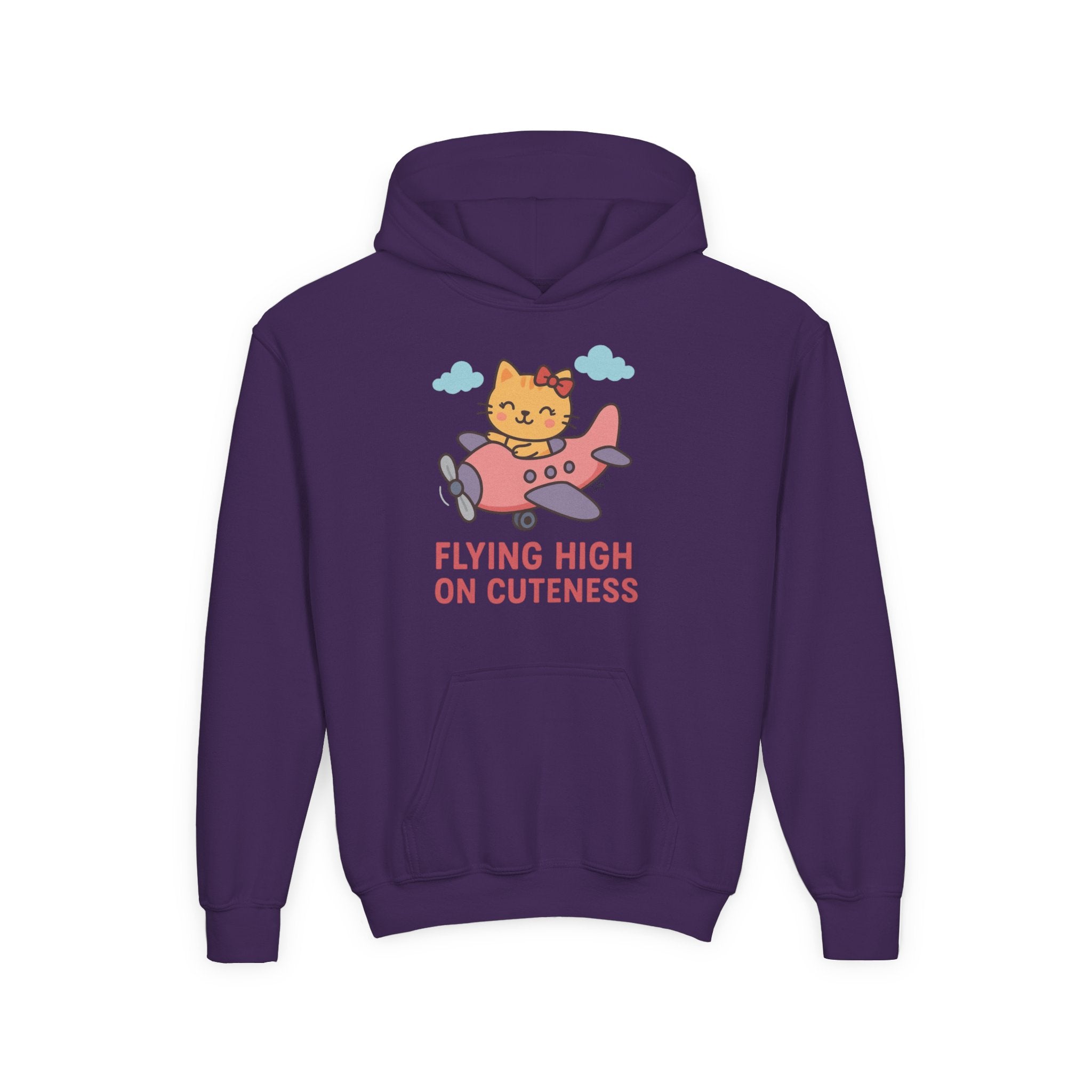 Cute Cat Airplane Kids Hoodie