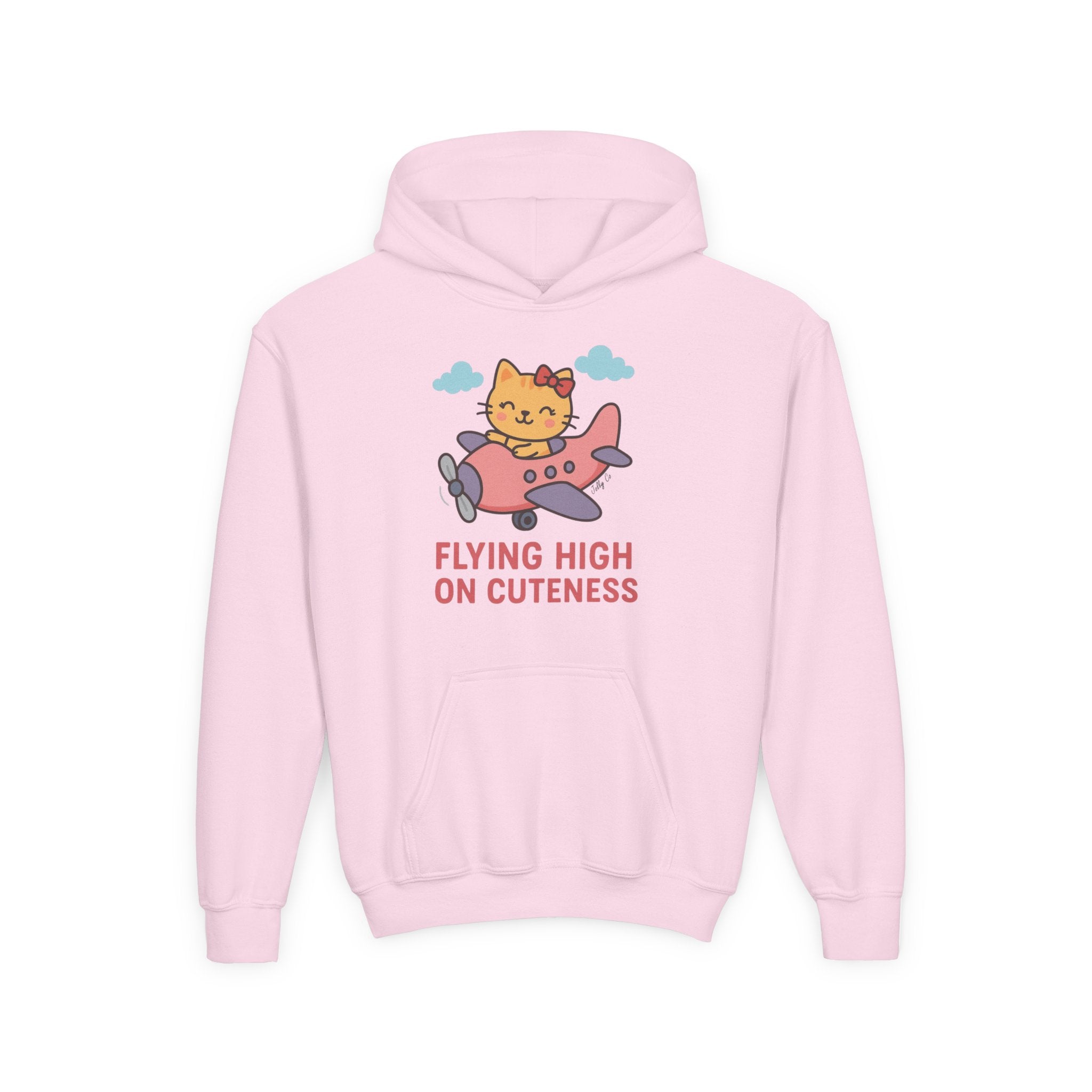Cute Cat Airplane Kids Hoodie