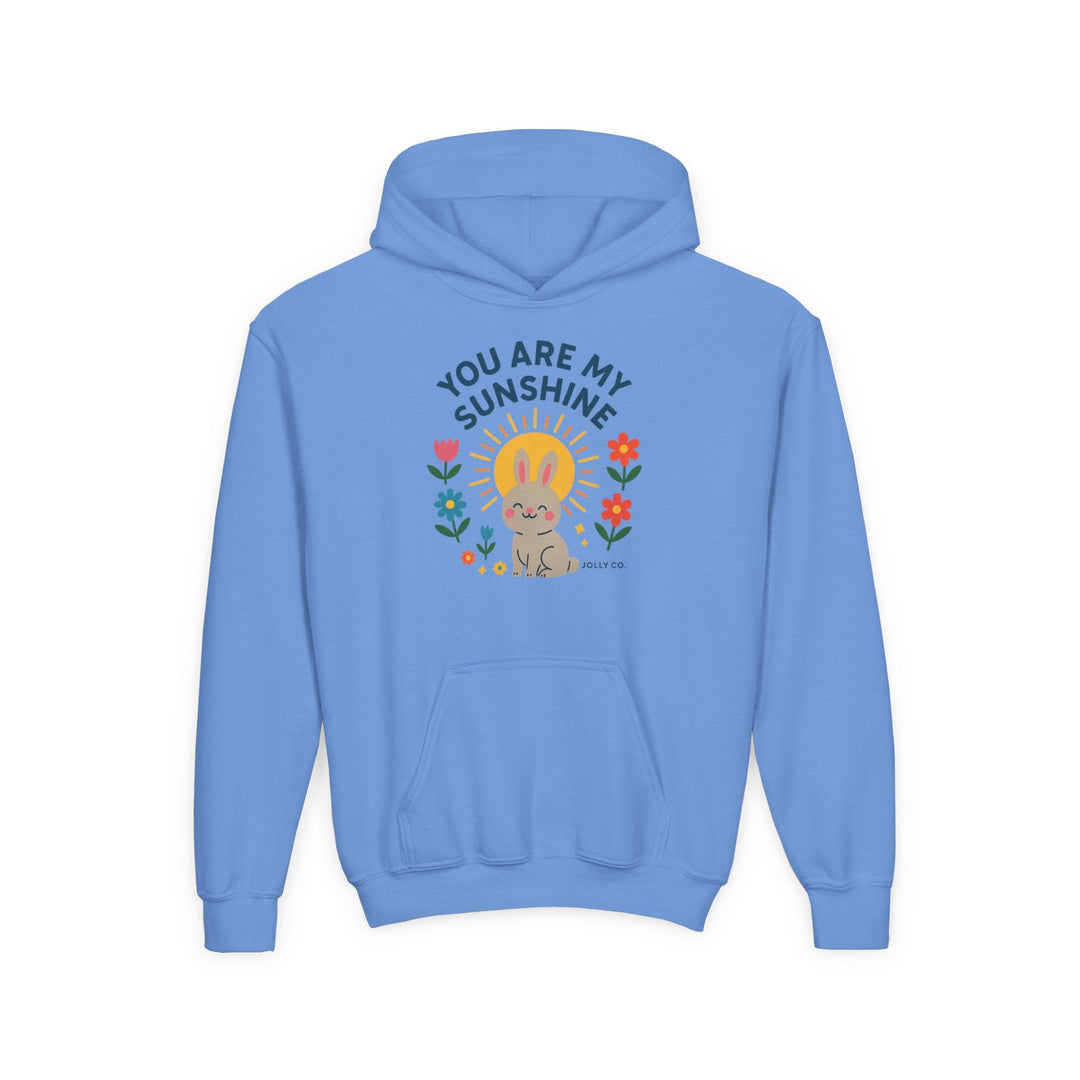You Are My Sunshine Kids Hoodie - Jolly Co Creations18069471