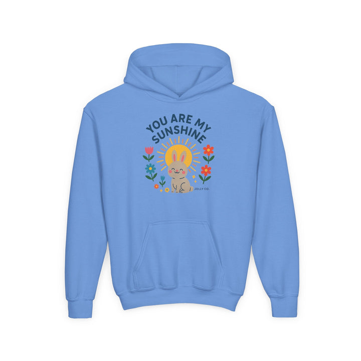 You Are My Sunshine Kids Hoodie - Jolly Co Creations18069471