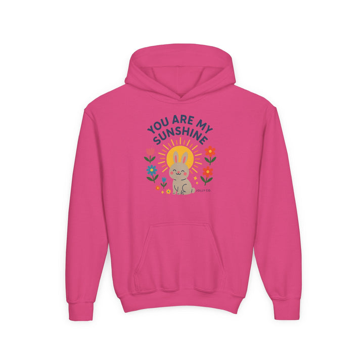 You Are My Sunshine Kids Hoodie - Jolly Co Creations18102239