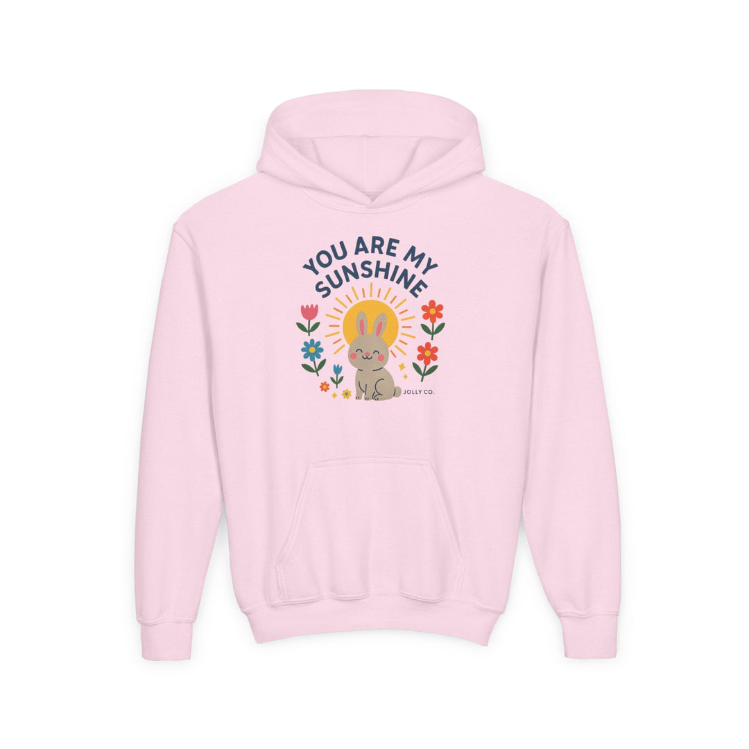 You Are My Sunshine Kids Hoodie - Jolly Co Creations18135007