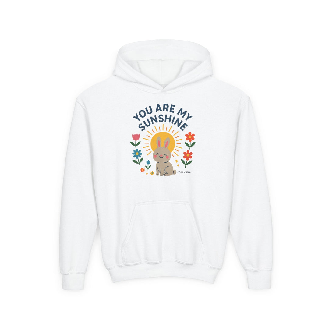 You Are My Sunshine Kids Hoodie - Jolly Co Creations18200543