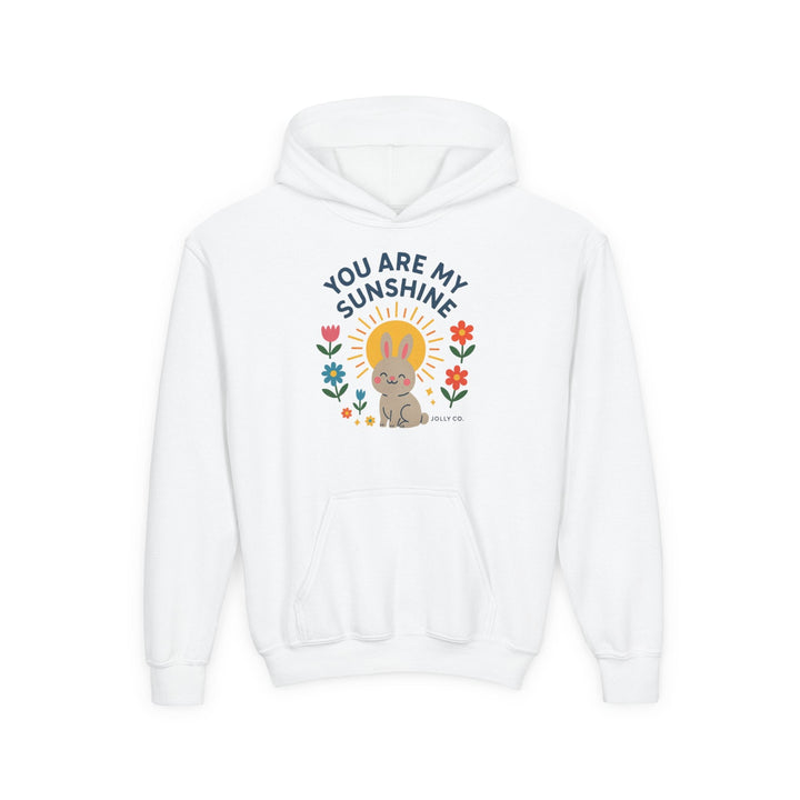 You Are My Sunshine Kids Hoodie - Jolly Co Creations18200543